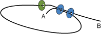 g_step3