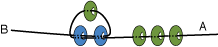 g_step5