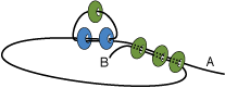 g_step6