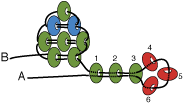 g_step8