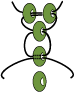 g_step9