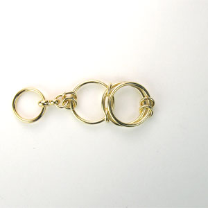 ladder chain step 11