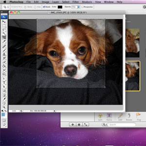 photoshop_step1